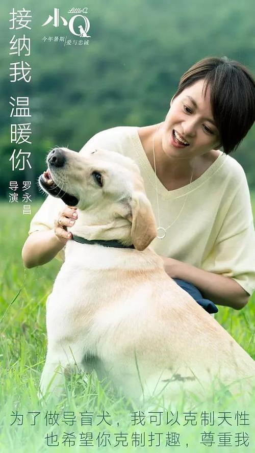 哪里可以制作佩斯大学文凭毕业证